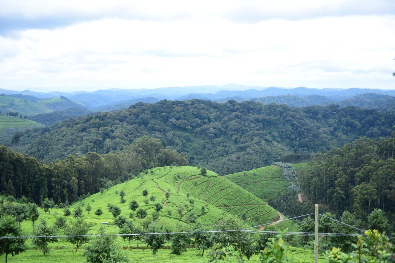 Nyungwe Village Kitabi Eksteriør bilde