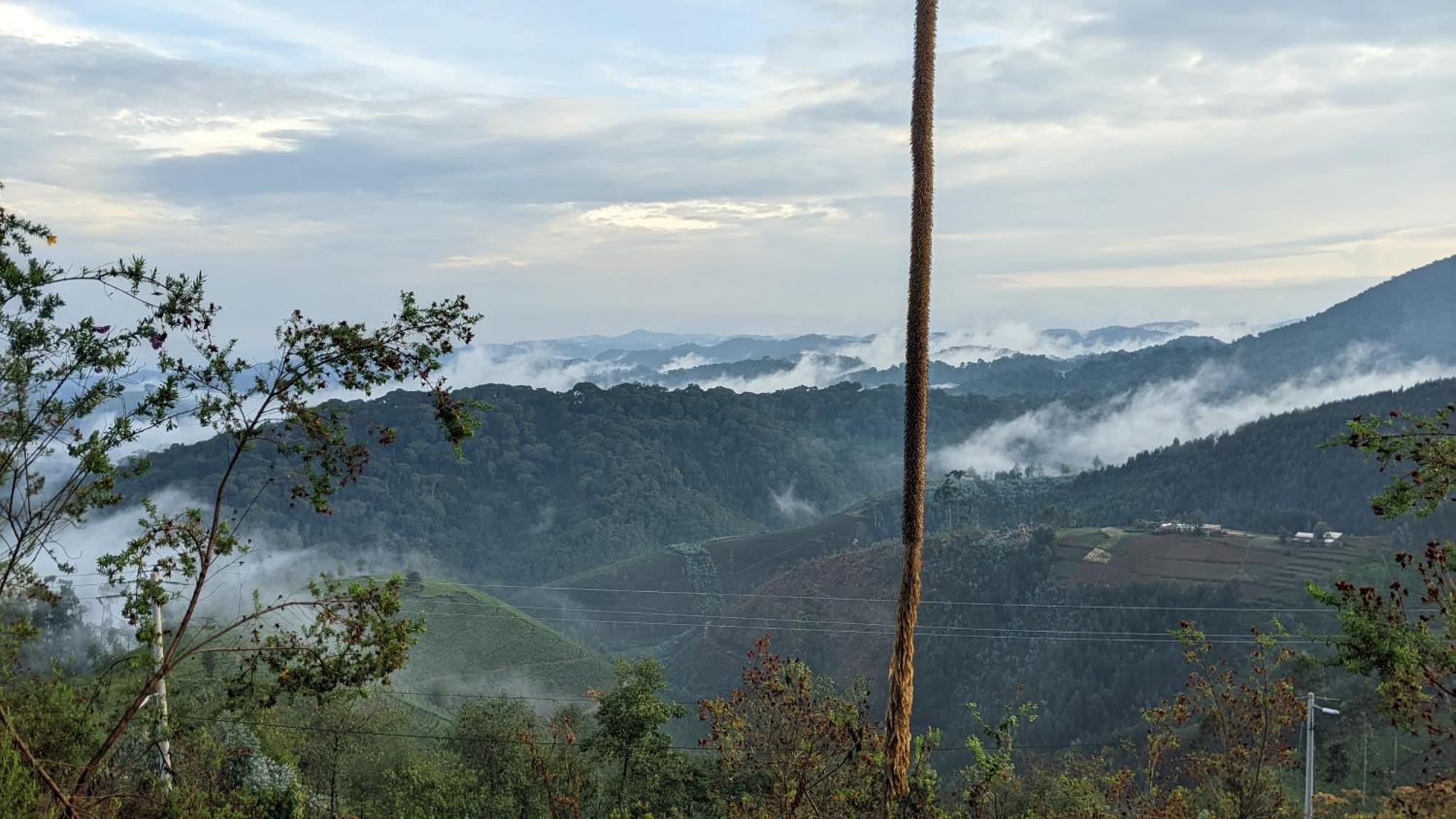 Nyungwe Village Kitabi Eksteriør bilde