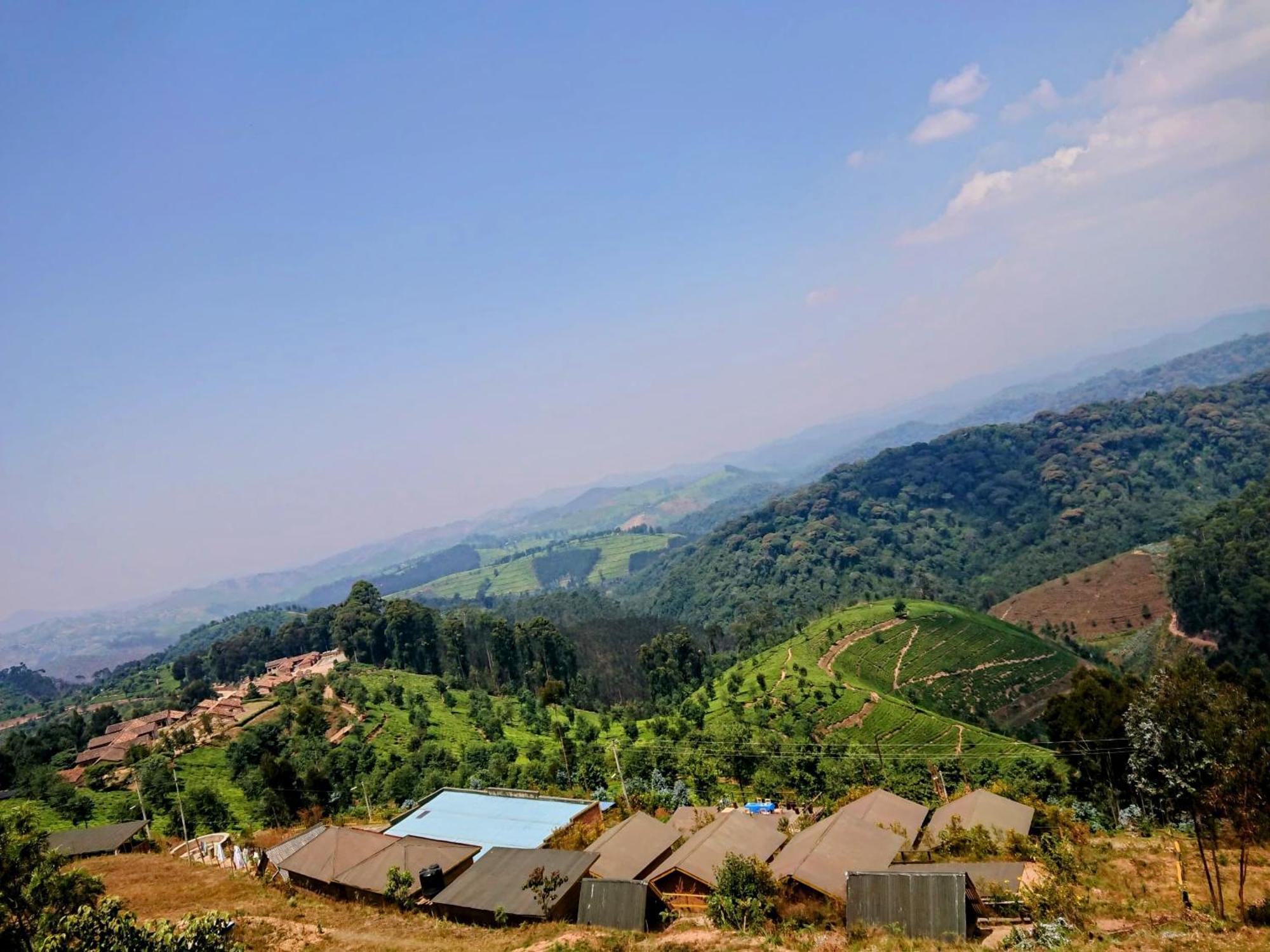 Nyungwe Village Kitabi Eksteriør bilde